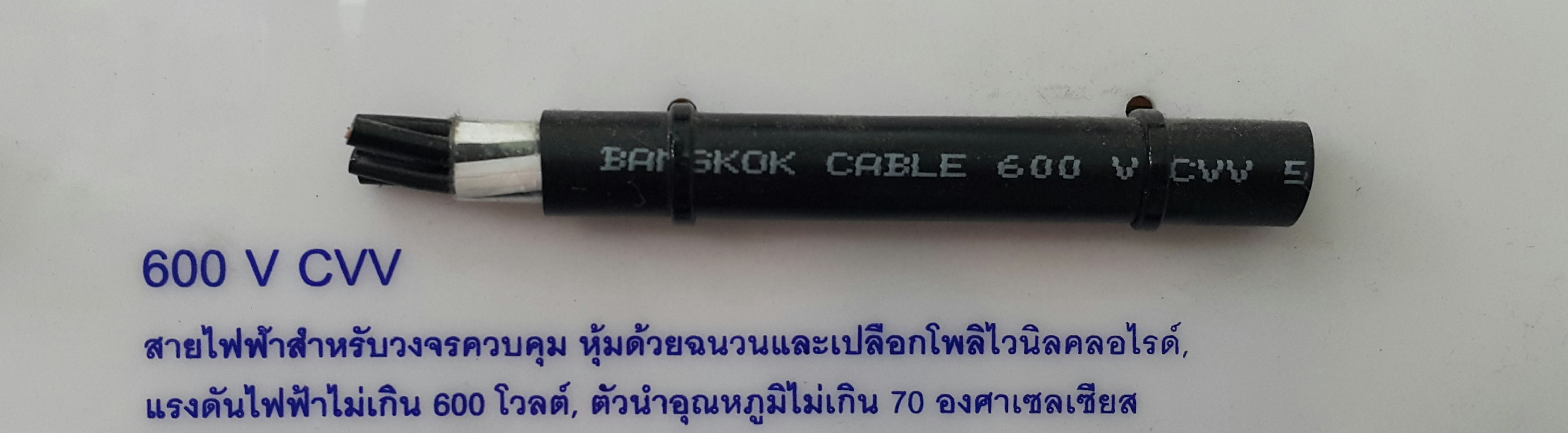 BCC : สาย600 VCVV