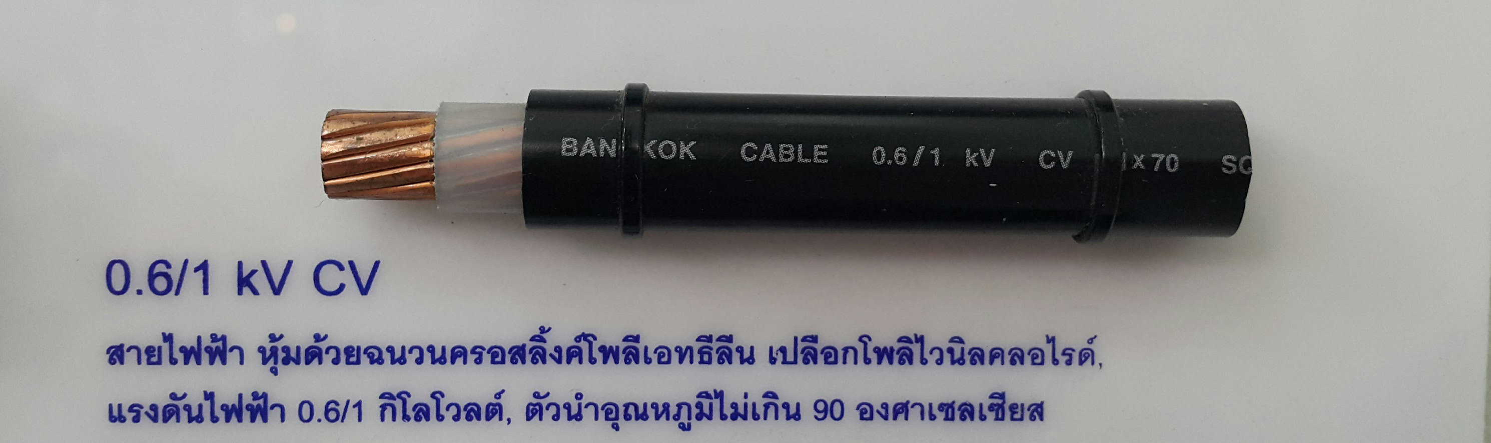 ภูเก็ต กี่หิ้น BCC-cable.jpg 9